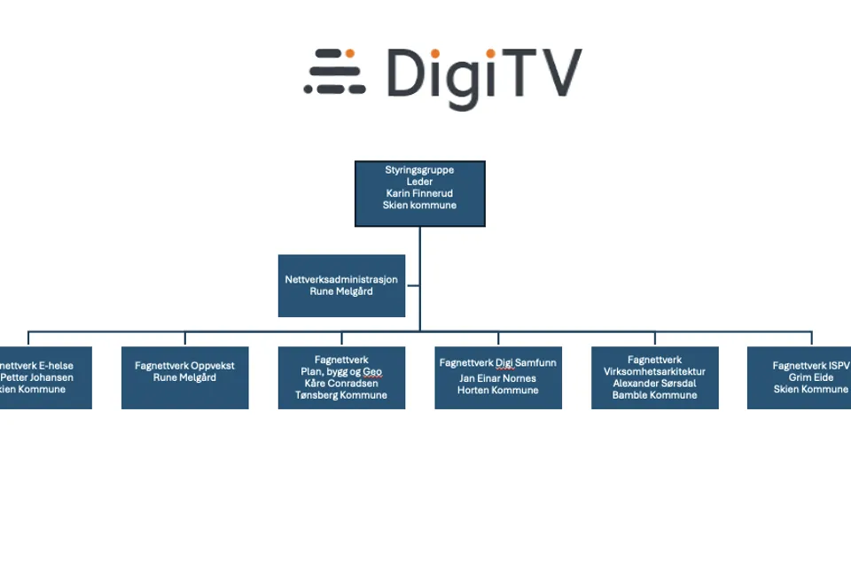 Bilde av DigiTVs organisasjonsstruktur