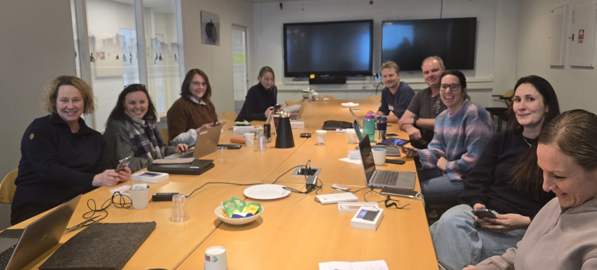 Test Av Håndholdte Enheter