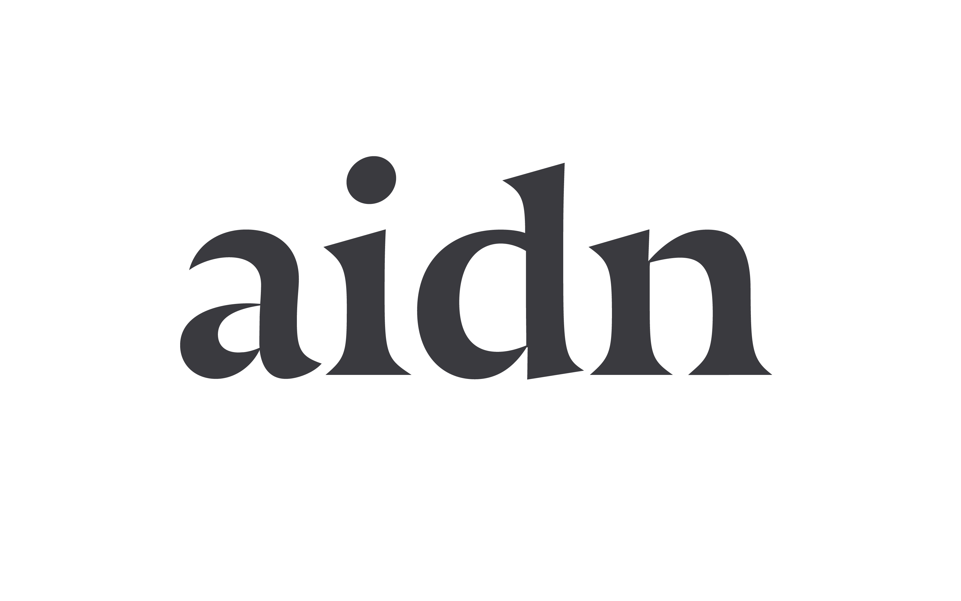 Aidn Logo Sort